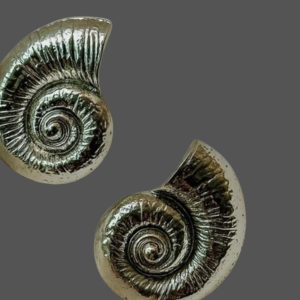 Aretes Caracol